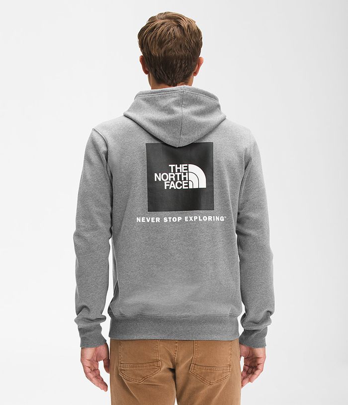 Sudadera Con Capucha The North Face Hombre Gris Box Nse Pullover 14382GSTY